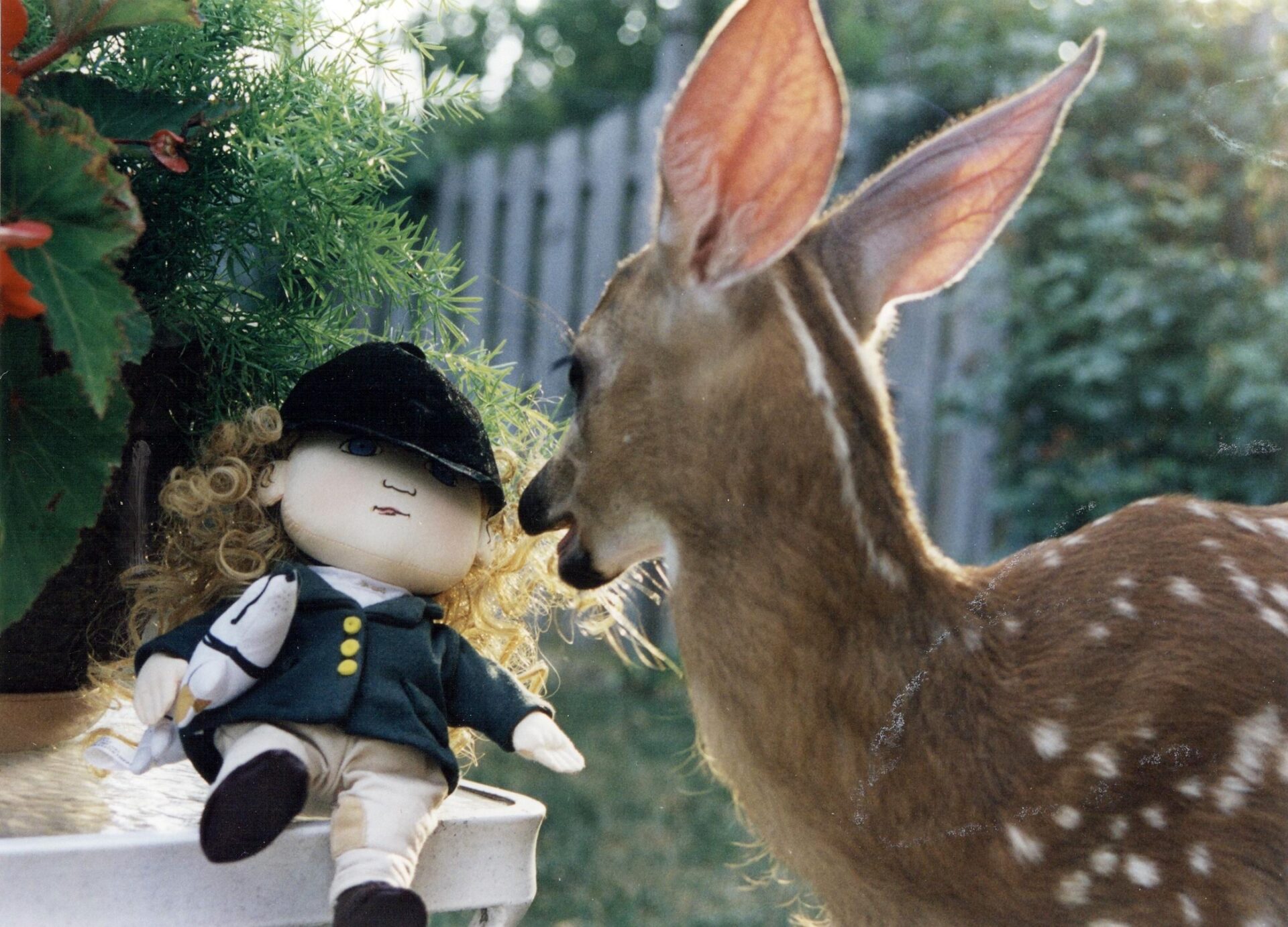 A deer looking at a doll